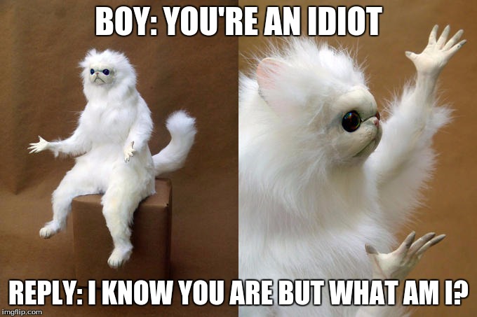 Persian Cat Room Guardian | BOY: YOU'RE AN IDIOT; REPLY: I KNOW YOU ARE BUT WHAT AM I? | image tagged in persian cat room guardian | made w/ Imgflip meme maker