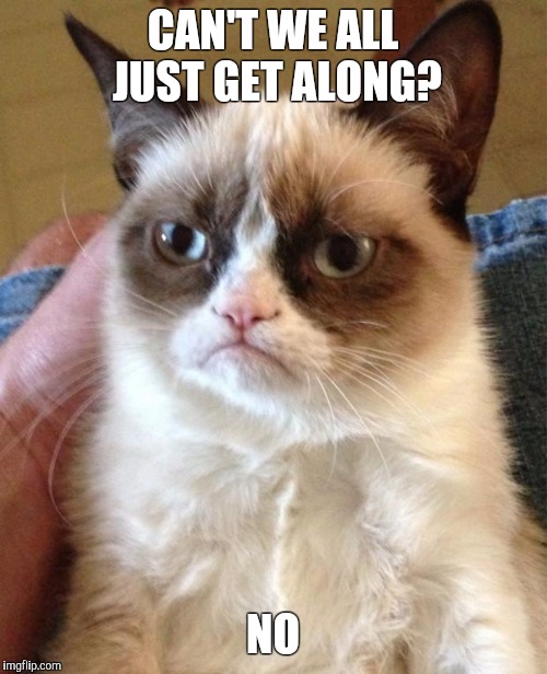 Angry Cat | CAN'T WE ALL JUST GET ALONG? NO | image tagged in angry cat | made w/ Imgflip meme maker