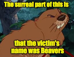 The surreal part of this is that the victim's name was Beavers | made w/ Imgflip meme maker