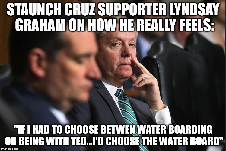STAUNCH CRUZ SUPPORTER LYNDSAY GRAHAM ON HOW HE REALLY FEELS:; "IF I HAD TO CHOOSE BETWEN WATER BOARDING OR BEING WITH TED...I'D CHOOSE THE WATER BOARD" | image tagged in ted cruz lyndsay graham republican party democracy voting | made w/ Imgflip meme maker