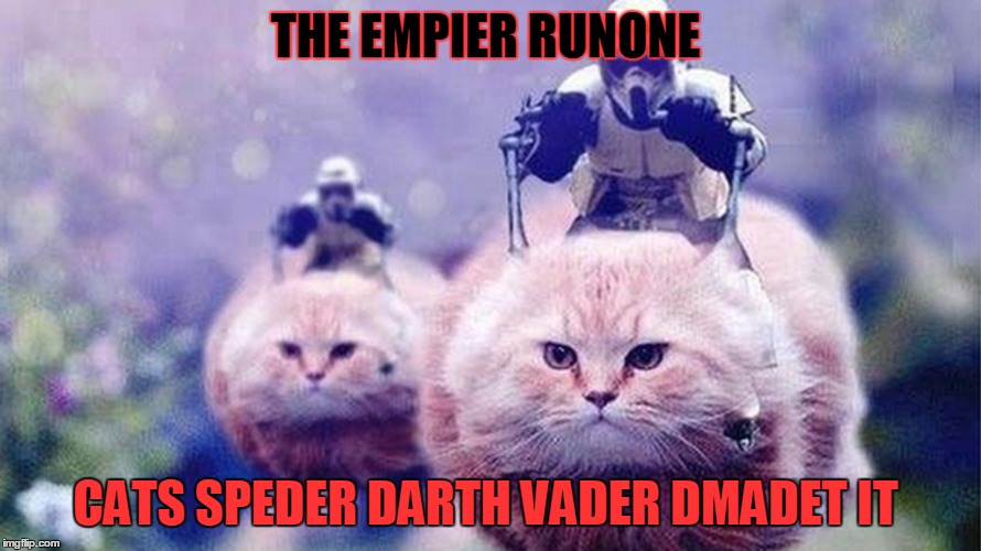 vader | THE EMPIER RUNONE; CATS SPEDER DARTH VADER DMADET IT | image tagged in the most interesting man in the world | made w/ Imgflip meme maker