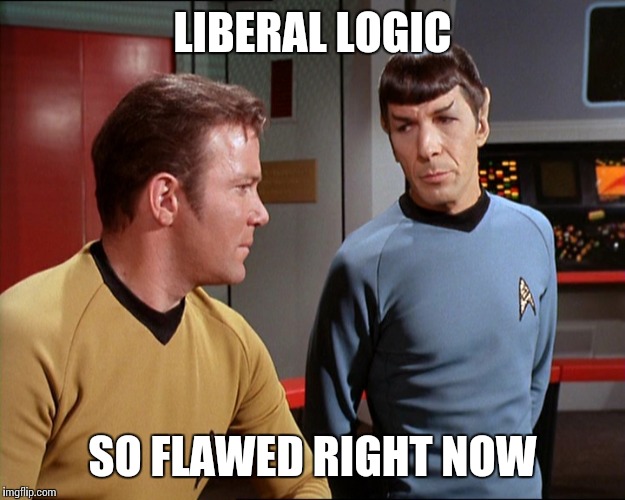 Liberal delusions of grandeur | LIBERAL LOGIC; SO FLAWED RIGHT NOW | image tagged in memes,star trek | made w/ Imgflip meme maker