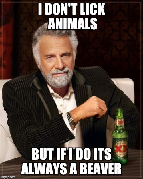 The Most Interesting Man In The World Meme | I DON'T LICK ANIMALS BUT IF I DO ITS ALWAYS A BEAVER | image tagged in memes,the most interesting man in the world | made w/ Imgflip meme maker
