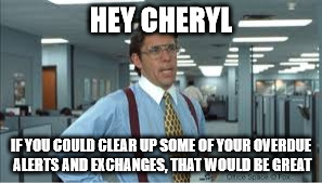 HEY CHERYL; IF YOU COULD CLEAR UP SOME OF YOUR OVERDUE ALERTS AND EXCHANGES, THAT WOULD BE GREAT | image tagged in humor | made w/ Imgflip meme maker