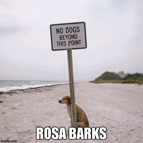 Fight the Power No Dogs | ROSA BARKS | image tagged in fight the power no dogs | made w/ Imgflip meme maker