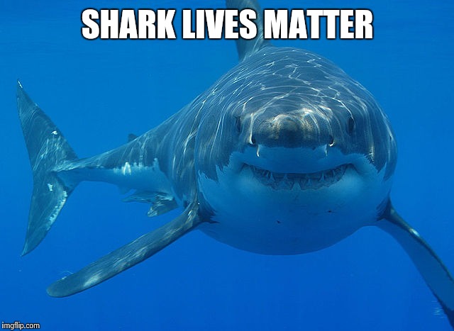 In the cosmic scale of things no lives matter :P |  SHARK LIVES MATTER | image tagged in great white shark | made w/ Imgflip meme maker