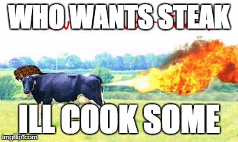 steak | WHO WANTS STEAK; ILL COOK SOME | image tagged in steak | made w/ Imgflip meme maker