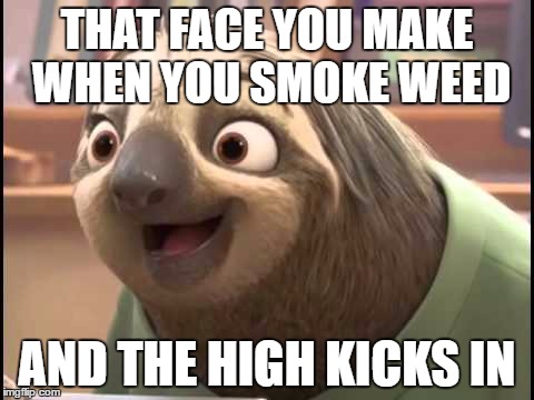 Zootopia Flash | THAT FACE YOU MAKE WHEN YOU SMOKE WEED; AND THE HIGH KICKS IN | made w/ Imgflip meme maker
