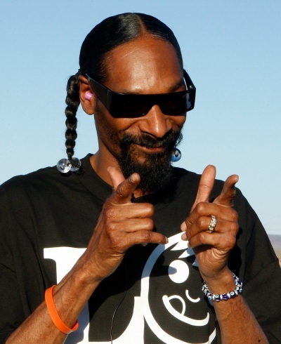 High Quality Snoop Dogg approves Blank Meme Template