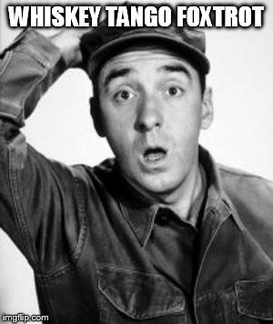 Gomer Pyle | WHISKEY TANGO FOXTROT | image tagged in wtf | made w/ Imgflip meme maker