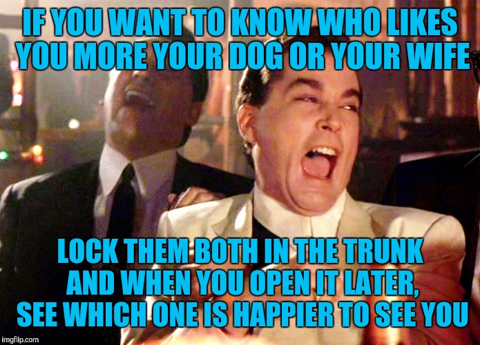 Good Fellas Hilarious | IF YOU WANT TO KNOW WHO LIKES YOU MORE YOUR DOG OR YOUR WIFE; LOCK THEM BOTH IN THE TRUNK AND WHEN YOU OPEN IT LATER, SEE WHICH ONE IS HAPPIER TO SEE YOU | image tagged in memes,good fellas hilarious | made w/ Imgflip meme maker