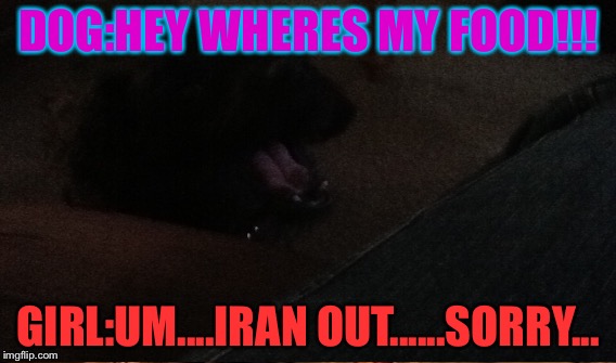 My FOOOOOOOD!!!!! | DOG:HEY WHERES MY FOOD!!! GIRL:UM....IRAN OUT......SORRY... | image tagged in sorry | made w/ Imgflip meme maker