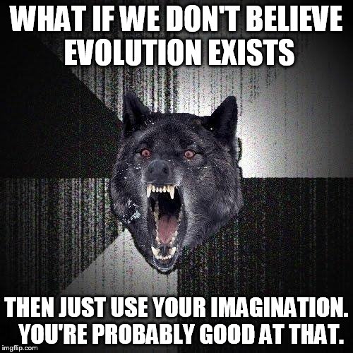 Insanity Wolf | WHAT IF WE DON'T BELIEVE EVOLUTION EXISTS; THEN JUST USE YOUR IMAGINATION.  YOU'RE PROBABLY GOOD AT THAT. | image tagged in memes,insanity wolf,AdviceAnimals | made w/ Imgflip meme maker