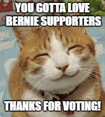 Happy cat | YOU GOTTA LOVE BERNIE SUPPORTERS; THANKS FOR VOTING! | image tagged in happy cat | made w/ Imgflip meme maker