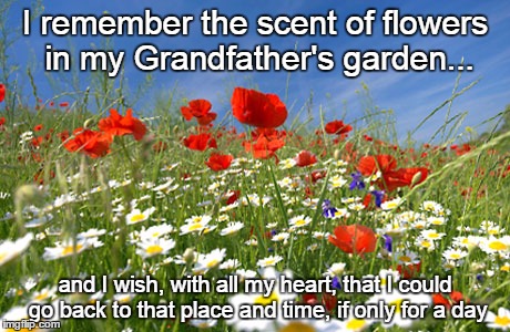 Grandad | I remember the scent of flowers in my Grandfather's garden... and I wish, with all my heart, that I could go back to that place and time, if only for a day | image tagged in childhood,gardening,garden,flowers | made w/ Imgflip meme maker
