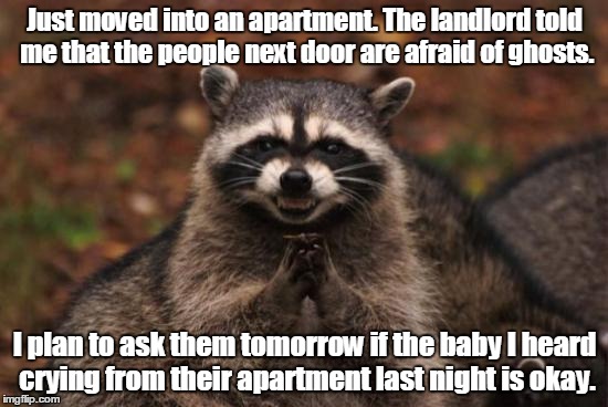 Ghost hunters | Just moved into an apartment. The landlord told me that the people next door are afraid of ghosts. I plan to ask them tomorrow if the baby I heard crying from their apartment last night is okay. | image tagged in evil racoon | made w/ Imgflip meme maker