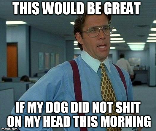 That Would Be Great | THIS WOULD BE GREAT; IF MY DOG DID NOT SHIT ON MY HEAD THIS MORNING | image tagged in memes,that would be great | made w/ Imgflip meme maker