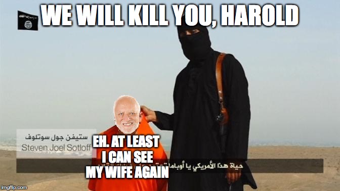 isis member with harold | WE WILL KILL YOU, HAROLD; EH. AT LEAST I CAN SEE MY WIFE AGAIN | image tagged in isis member with harold | made w/ Imgflip meme maker