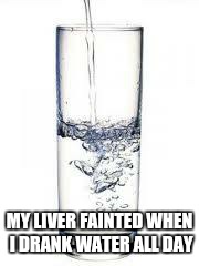 water | MY LIVER FAINTED WHEN I DRANK WATER ALL DAY | image tagged in water | made w/ Imgflip meme maker