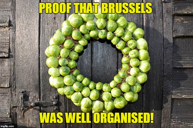 organised terror | PROOF THAT BRUSSELS; WAS WELL ORGANISED! | image tagged in politics,isis | made w/ Imgflip meme maker