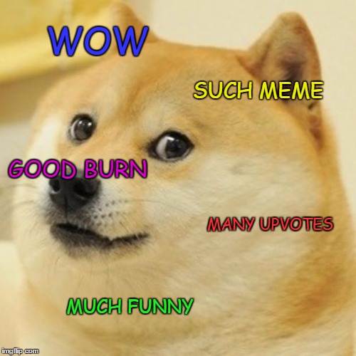 Doge Meme | WOW SUCH MEME MUCH FUNNY GOOD BURN MANY UPVOTES | image tagged in memes,doge | made w/ Imgflip meme maker