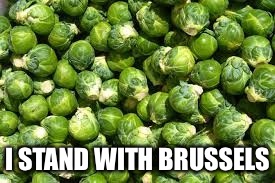 Stand strong | I STAND WITH BRUSSELS | image tagged in belgium,brussels | made w/ Imgflip meme maker