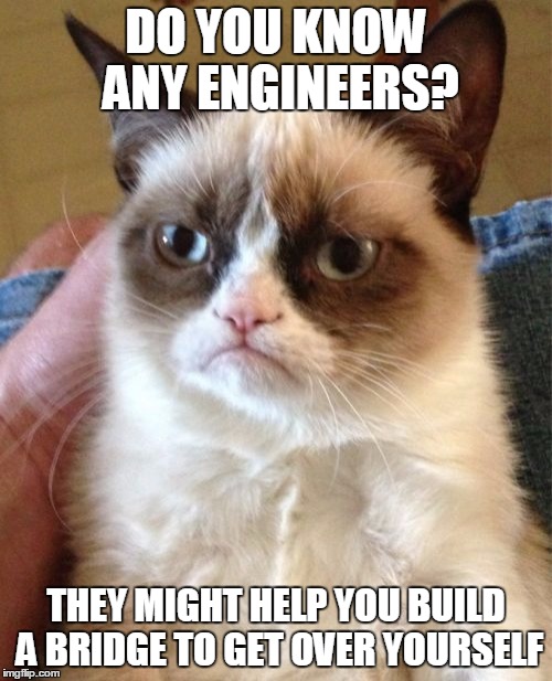 Grumpy Cat | DO YOU KNOW ANY ENGINEERS? THEY MIGHT HELP YOU BUILD A BRIDGE TO GET OVER YOURSELF | image tagged in memes,grumpy cat | made w/ Imgflip meme maker