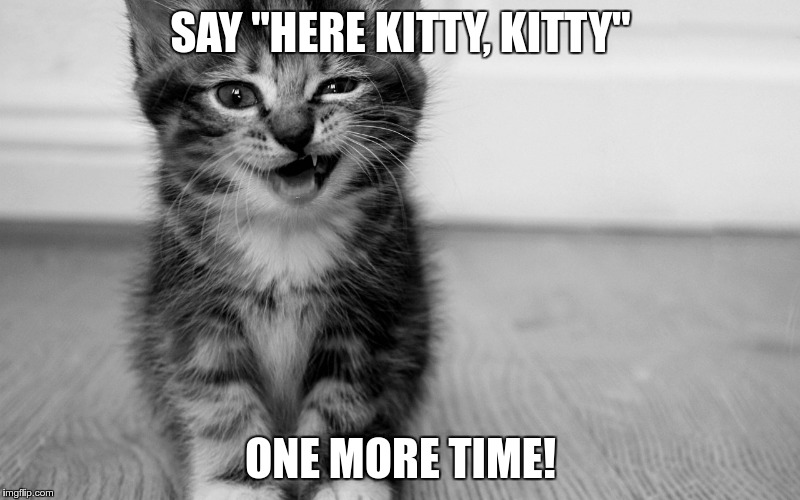 SAY "HERE KITTY, KITTY" ONE MORE TIME! | made w/ Imgflip meme maker