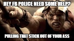 FB Police | HEY FB POLICE NEED SOME HELP? PULLING THAT STICK OUT OF YOUR ASS | image tagged in 300 | made w/ Imgflip meme maker