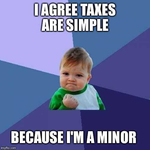 Success Kid Meme | I AGREE TAXES ARE SIMPLE BECAUSE I'M A MINOR | image tagged in memes,success kid | made w/ Imgflip meme maker