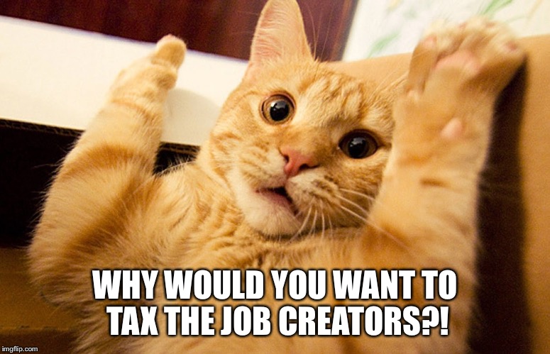 scared cat | WHY WOULD YOU WANT TO TAX THE JOB CREATORS?! | image tagged in scared cat | made w/ Imgflip meme maker