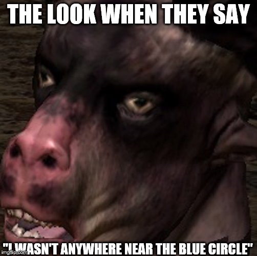 THE LOOK WHEN THEY SAY; "I WASN'T ANYWHERE NEAR THE BLUE CIRCLE" | image tagged in guildwars2funny | made w/ Imgflip meme maker