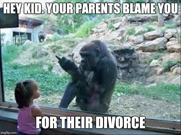Angry monkey | HEY KID. YOUR PARENTS BLAME YOU; FOR THEIR DIVORCE | image tagged in bad monkey,memes,funny | made w/ Imgflip meme maker