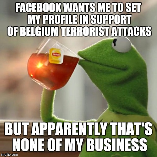 But That's None Of My Business | FACEBOOK WANTS ME TO SET MY PROFILE IN SUPPORT OF BELGIUM TERRORIST ATTACKS; BUT APPARENTLY THAT'S NONE OF MY BUSINESS | image tagged in memes,but thats none of my business,kermit the frog | made w/ Imgflip meme maker
