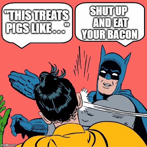"THIS TREATS PIGS LIKE . . ." SHUT UP  AND EAT YOUR BACON | image tagged in batman slapping robin | made w/ Imgflip meme maker