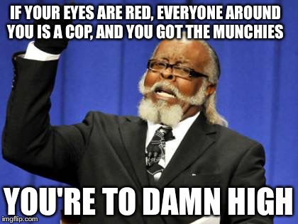Too Damn High | IF YOUR EYES ARE RED, EVERYONE AROUND YOU IS A COP, AND YOU GOT THE MUNCHIES; YOU'RE TO DAMN HIGH | image tagged in memes,too damn high | made w/ Imgflip meme maker