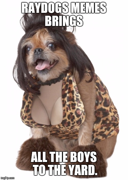 Sorry raydog. Saw it, had to. | RAYDOGS MEMES BRINGS; ALL THE BOYS TO THE YARD. | image tagged in memes,funny,raydog | made w/ Imgflip meme maker