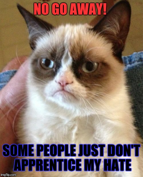 Grumpy Cat Meme | NO GO AWAY! SOME PEOPLE JUST DON'T APPRENTICE MY HATE | image tagged in memes,grumpy cat | made w/ Imgflip meme maker