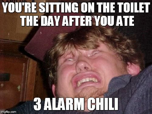 WTF | YOU'RE SITTING ON THE TOILET THE DAY AFTER YOU ATE; 3 ALARM CHILI | image tagged in memes,wtf | made w/ Imgflip meme maker