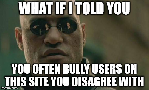 Matrix Morpheus Meme | WHAT IF I TOLD YOU YOU OFTEN BULLY USERS ON THIS SITE YOU DISAGREE WITH | image tagged in memes,matrix morpheus | made w/ Imgflip meme maker