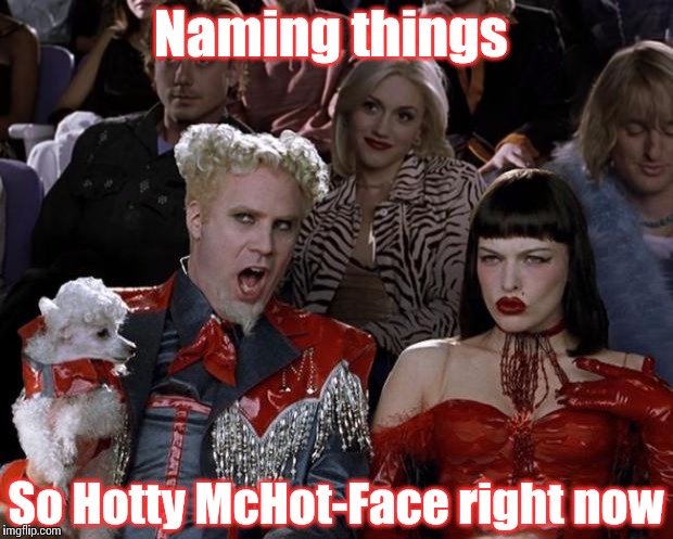 Mugatu So Hot Right Now | Naming things; So Hotty McHot-Face right now | image tagged in memes,mugatu so hot right now | made w/ Imgflip meme maker