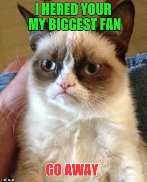 Grumpy Cat Meme | I HERED YOUR MY BIGGEST FAN; GO AWAY | image tagged in memes,grumpy cat | made w/ Imgflip meme maker