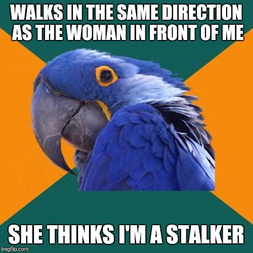Paranoid Parrot Meme | WALKS IN THE SAME DIRECTION AS THE WOMAN IN FRONT OF ME; SHE THINKS I'M A STALKER | image tagged in memes,paranoid parrot | made w/ Imgflip meme maker