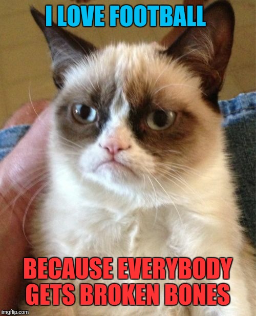 Grumpy Cat | I LOVE FOOTBALL; BECAUSE EVERYBODY GETS BROKEN BONES | image tagged in memes,grumpy cat | made w/ Imgflip meme maker