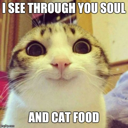 Smiling Cat | I SEE THROUGH YOU SOUL; AND CAT FOOD | image tagged in memes,smiling cat | made w/ Imgflip meme maker