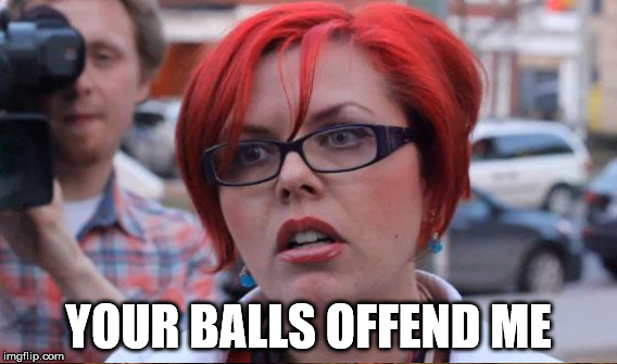they're too ballsy | YOUR BALLS OFFEND ME | image tagged in balls | made w/ Imgflip meme maker
