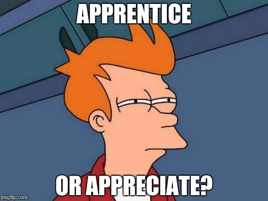 Futurama Fry Meme | APPRENTICE OR APPRECIATE? | image tagged in memes,futurama fry | made w/ Imgflip meme maker