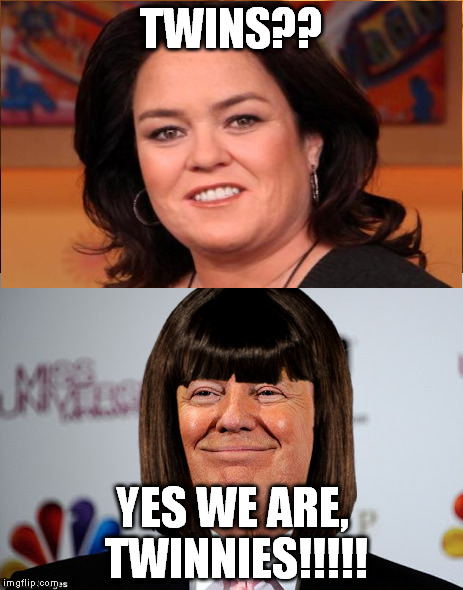 i love you twinnies!!! | TWINS?? YES WE ARE, TWINNIES!!!!! | image tagged in twins,trumprosie,loveyou,rosie,trump | made w/ Imgflip meme maker