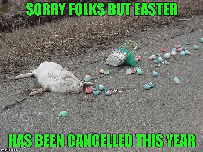 If carrots are so good for your eyesight, why do you see so many dead rabbits on the road? | SORRY FOLKS BUT EASTER; HAS BEEN CANCELLED THIS YEAR | image tagged in memes,easter has been cancelled,easter,funny,roadkill | made w/ Imgflip meme maker