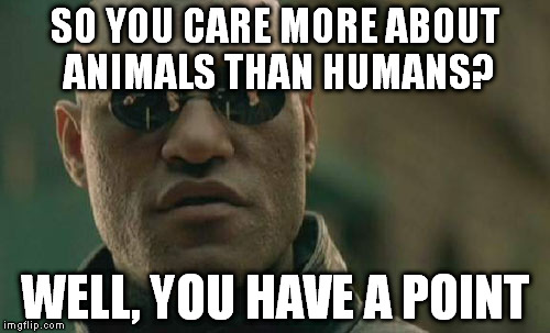 I wanna reincarnate in a pidgeon and poop on someone's car, someone powerful if possible. | SO YOU CARE MORE ABOUT ANIMALS THAN HUMANS? WELL, YOU HAVE A POINT | image tagged in memes,matrix morpheus | made w/ Imgflip meme maker